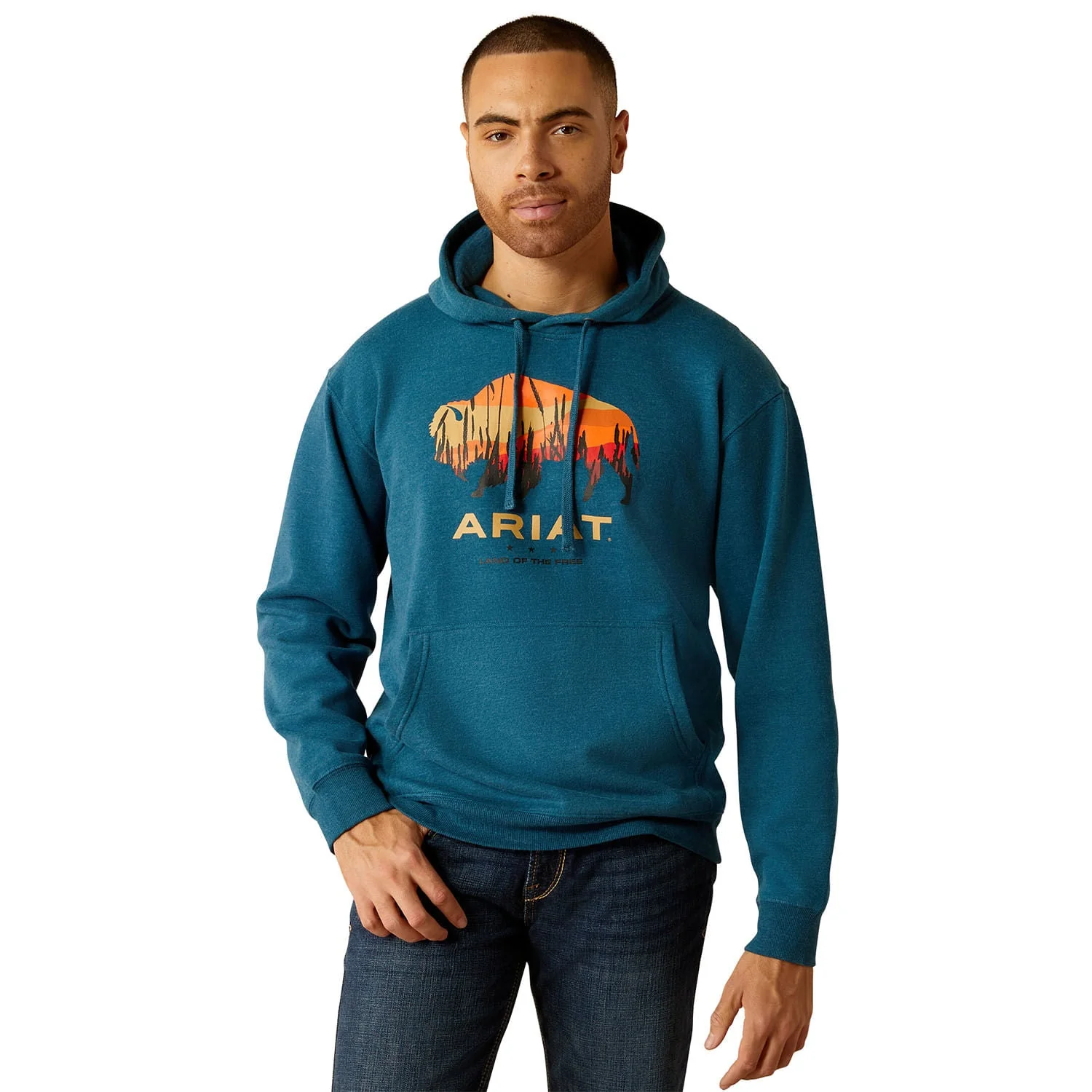 Ariat Men's Bison Plains Hoodie - Pet's Shop