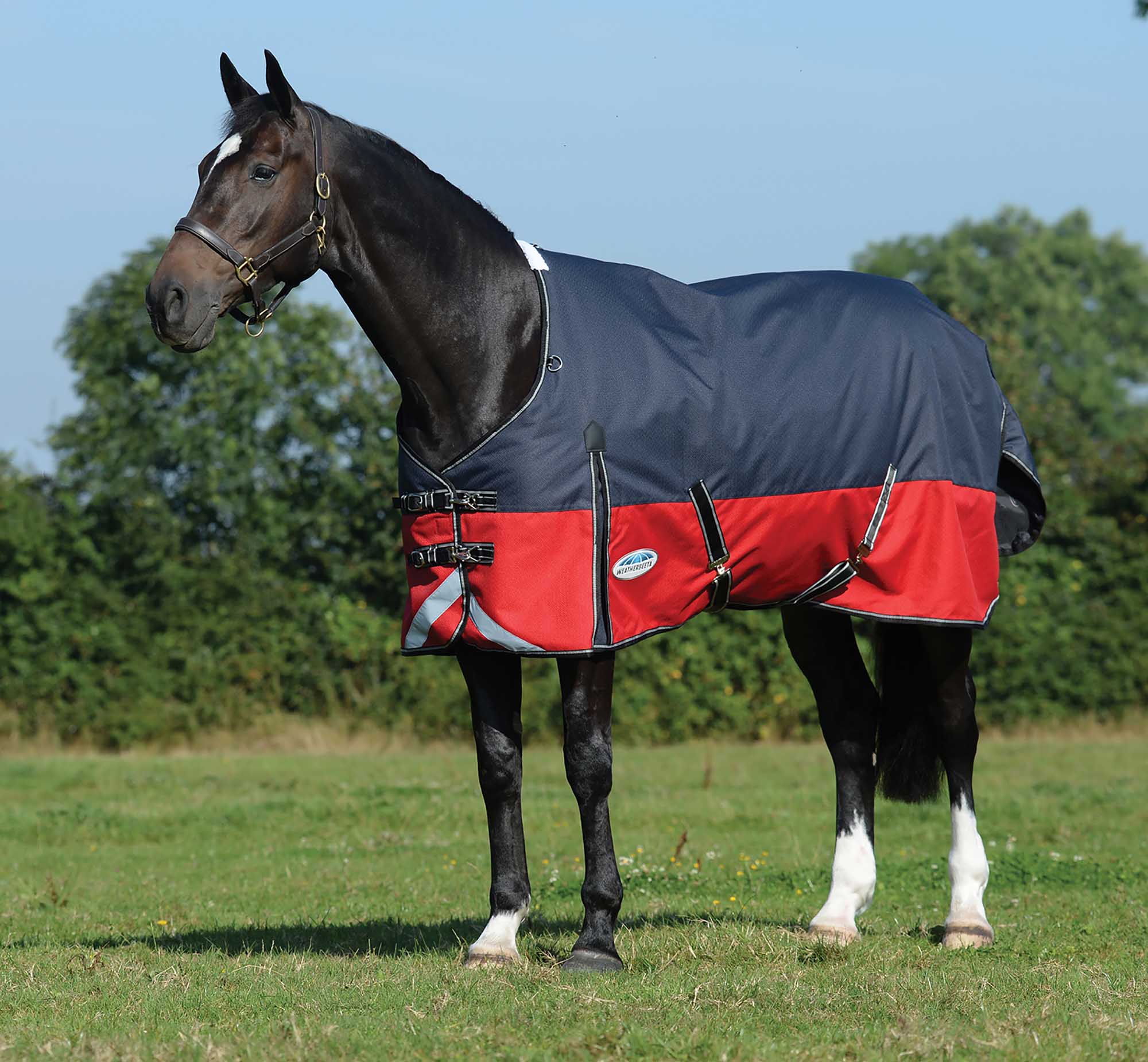 ComFITec Plus Dynamic II Standard Neck Medium Horse Blanket - Pet's Shop