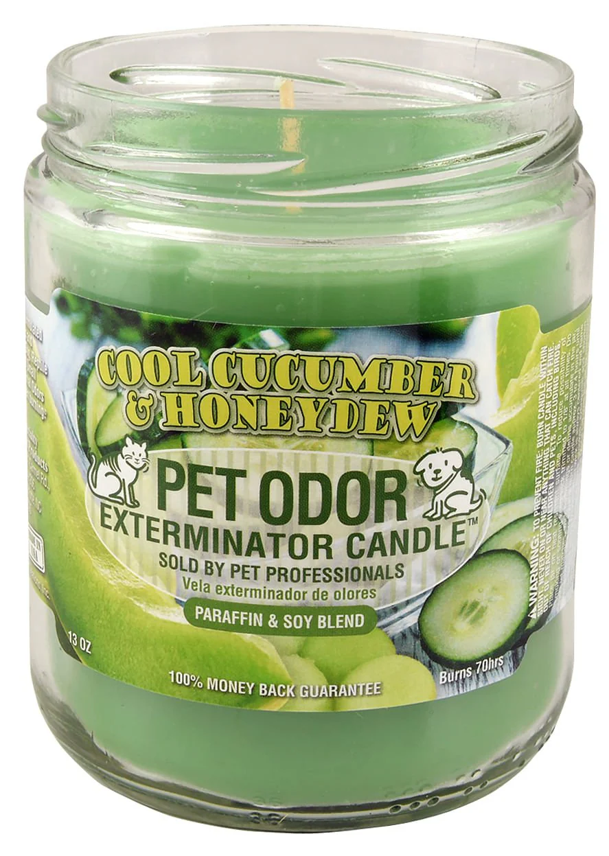 Pet Odor Exterminator Candle, Cool Cucumber & Honeydew, 13 oz - Pet's Shop