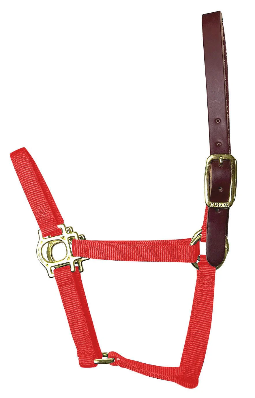 Valhoma Foal & Yearling Premium Breakaway Nylon Halter with Leather Crown - Pet's Shop