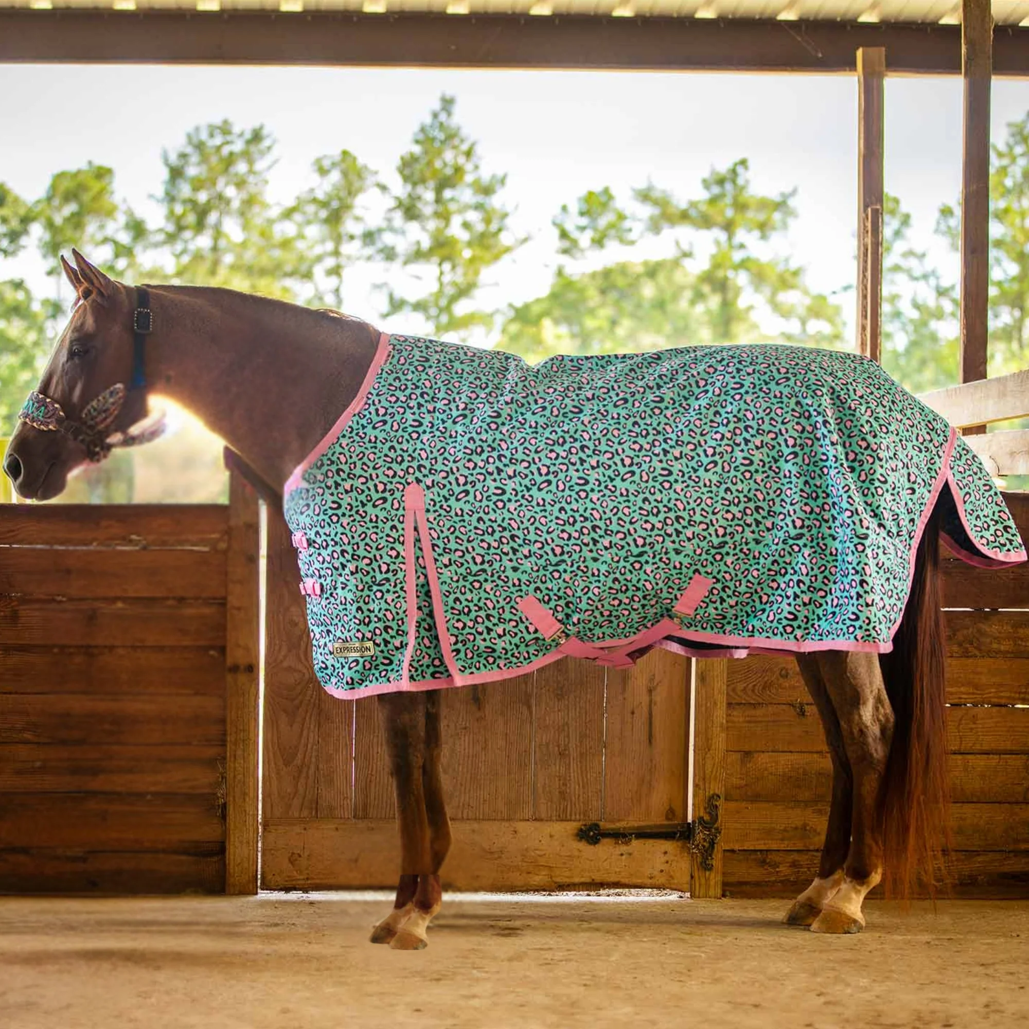 Expression 1200 Denier Standard Neck Turnout Blanket, 240 Gram, Party Cheetah - Pet's Shop