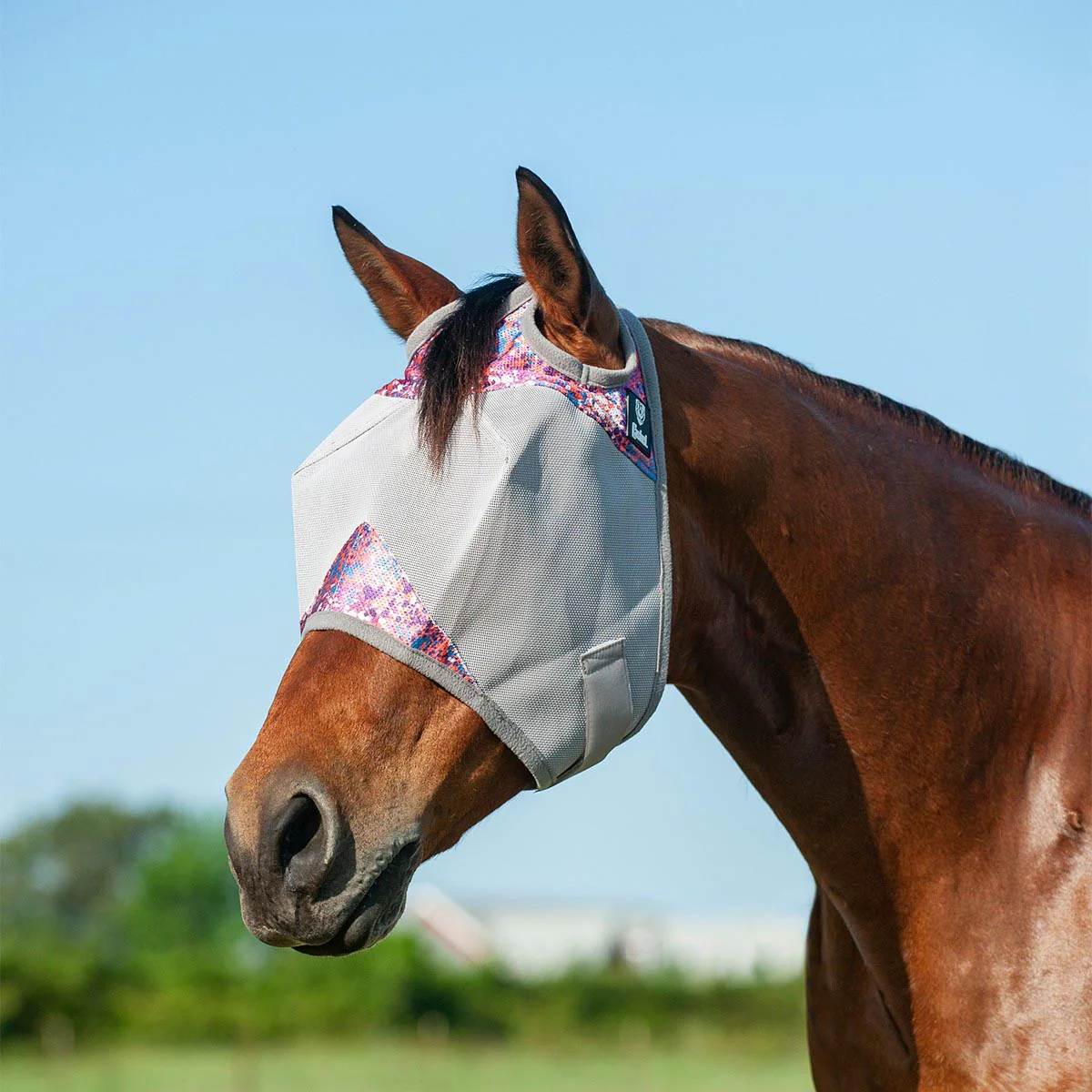 Crusader Fly Mask - Pet's Shop
