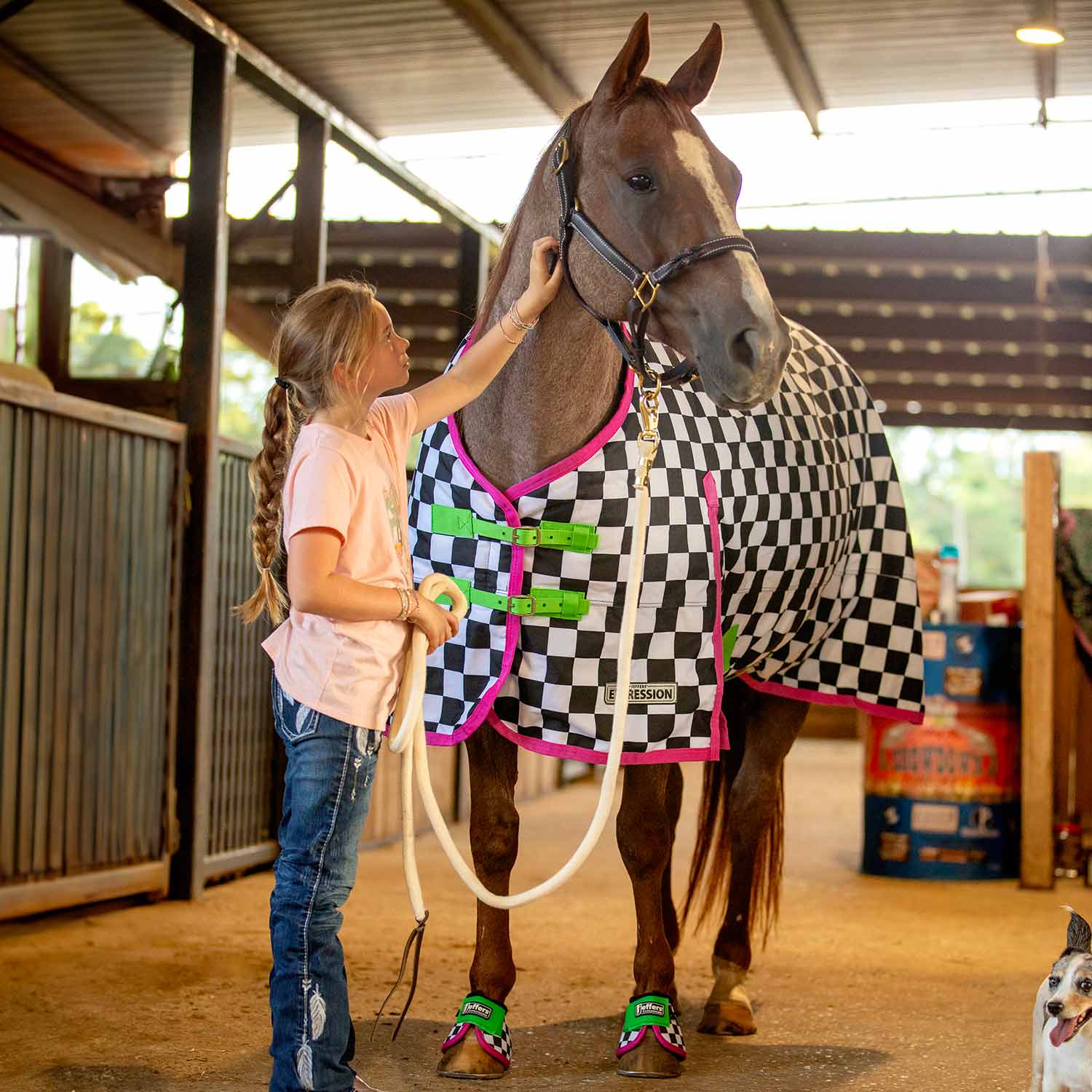 Expression 1200 Denier Standard Neck Turnout Sheet, 0 Gram, Skater Cowgirl - Pet's Shop