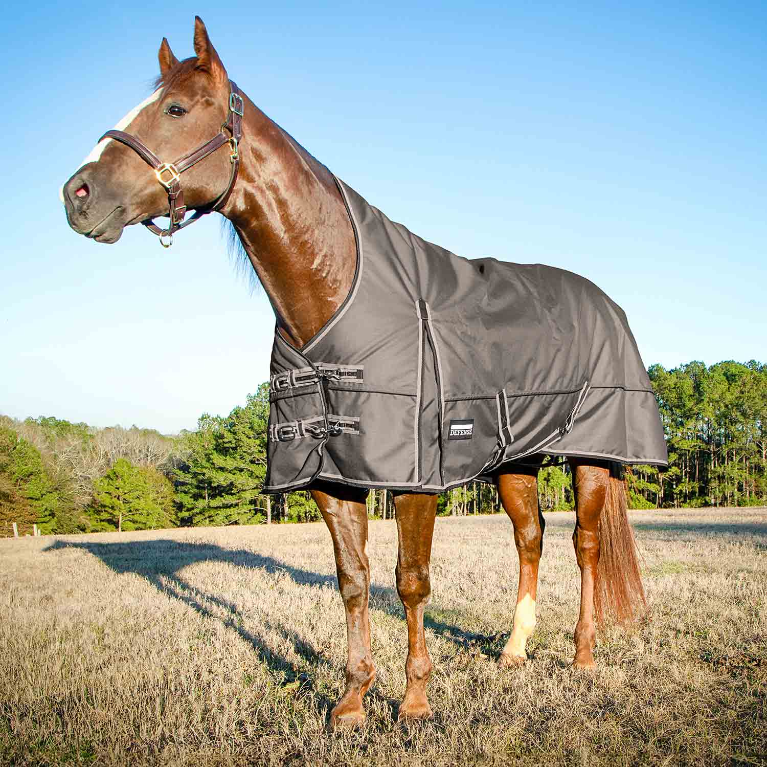 Poplar Head Defense 1680 Denier Turnout Blanket with High Neck, 240 Gram, Plymouth Brown - Pet's Shop