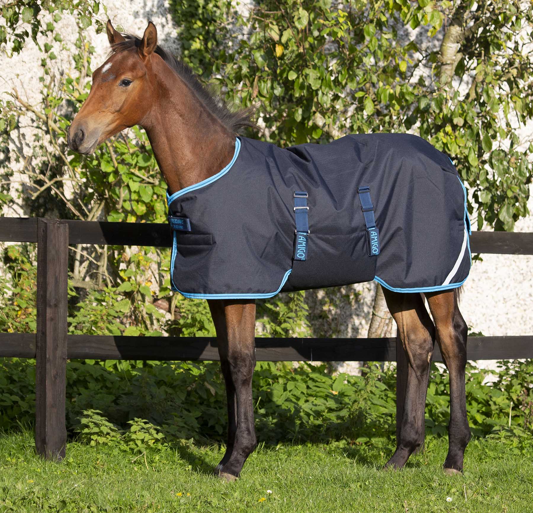 Amigo 600D Foal Blanket - Pet's Shop