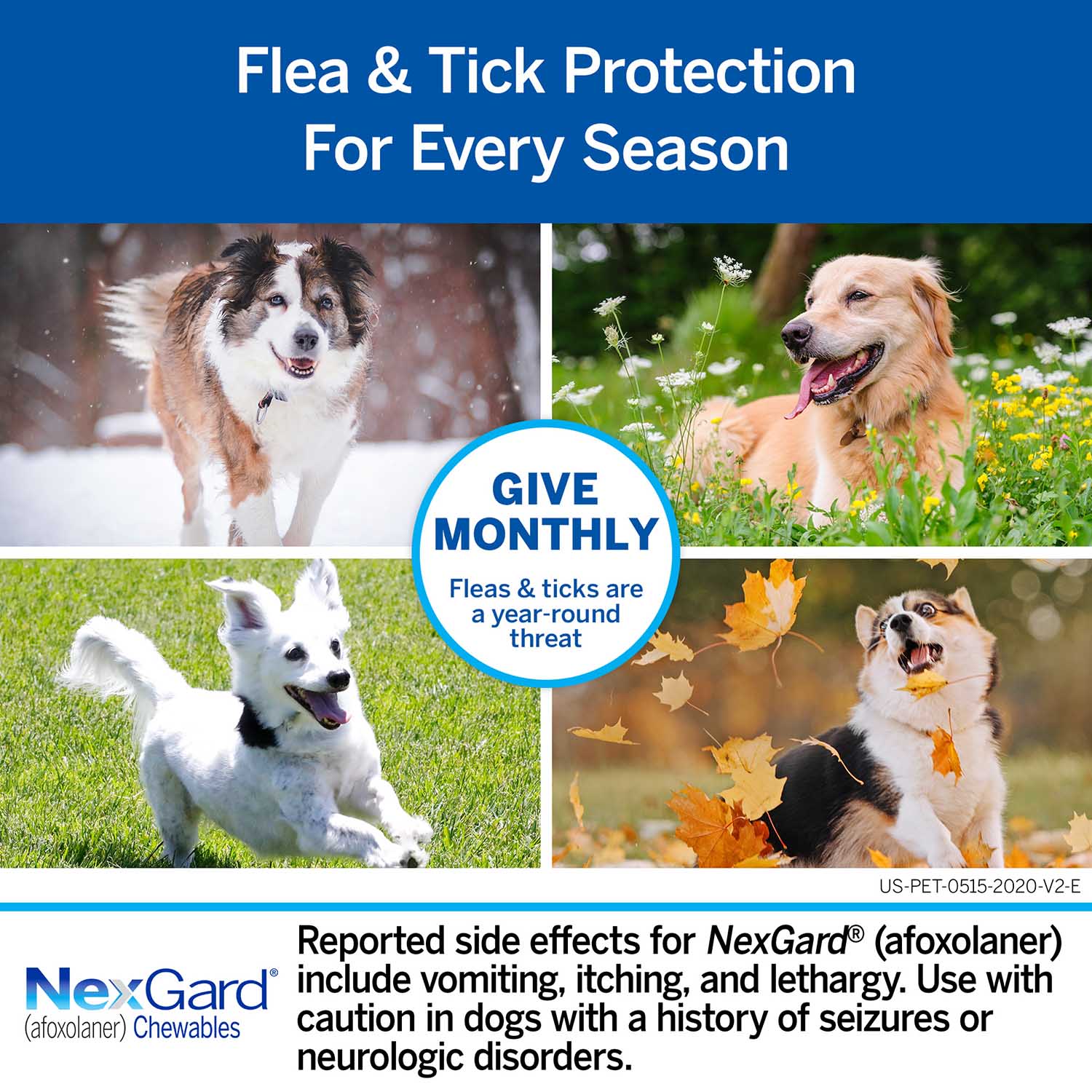 NexGard Flea and Tick Chewables for Dogs - Pet's Shop
