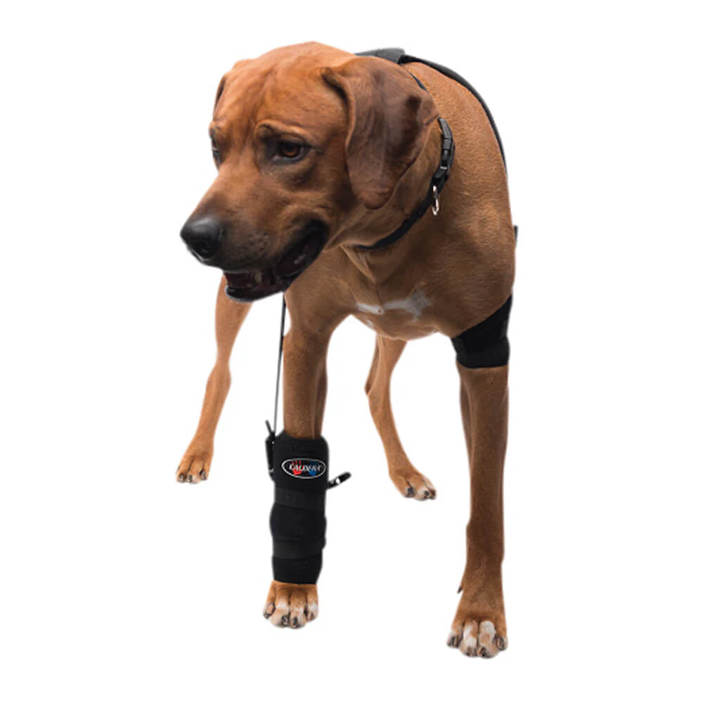 Caldera Pet Therapy Carpal Wrap with Therapy Gel, Large - Pet's Shop