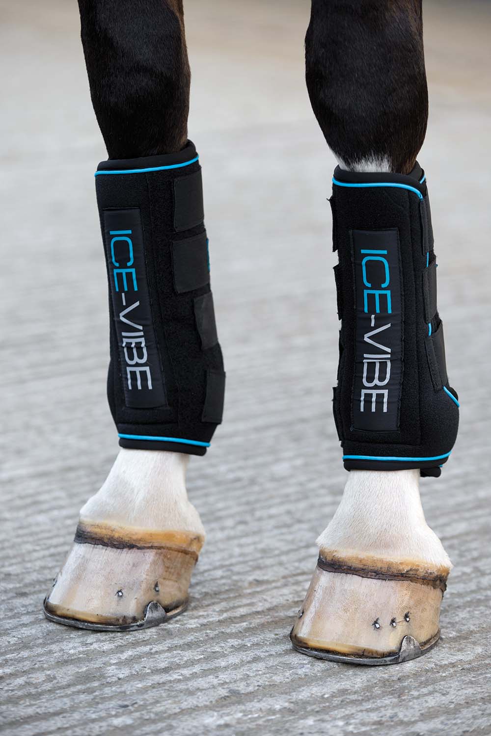 Ice Vibe Therapy Boot for Horses, 2 Pack - Pet's Shop