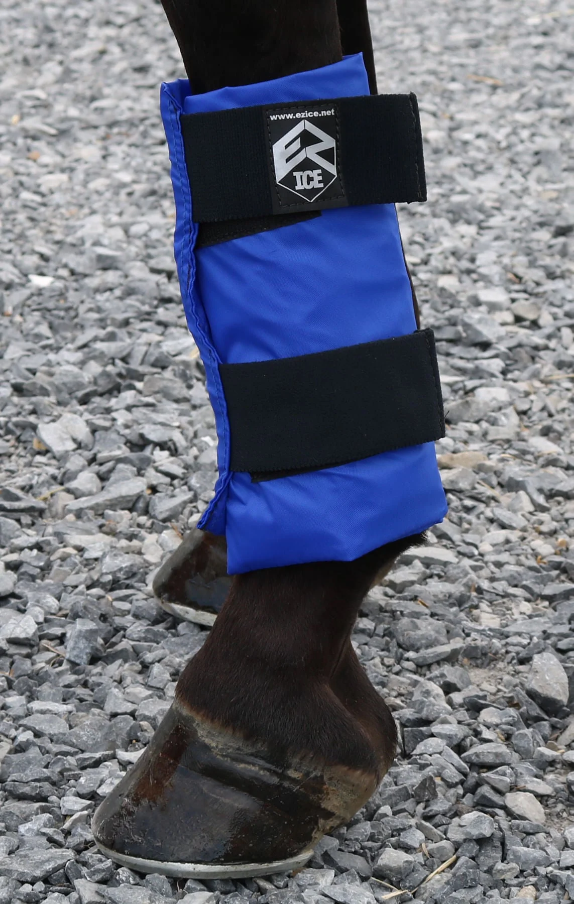 EZ Ice Horse Therapy Tendon Wrap, Each - Pet's Shop