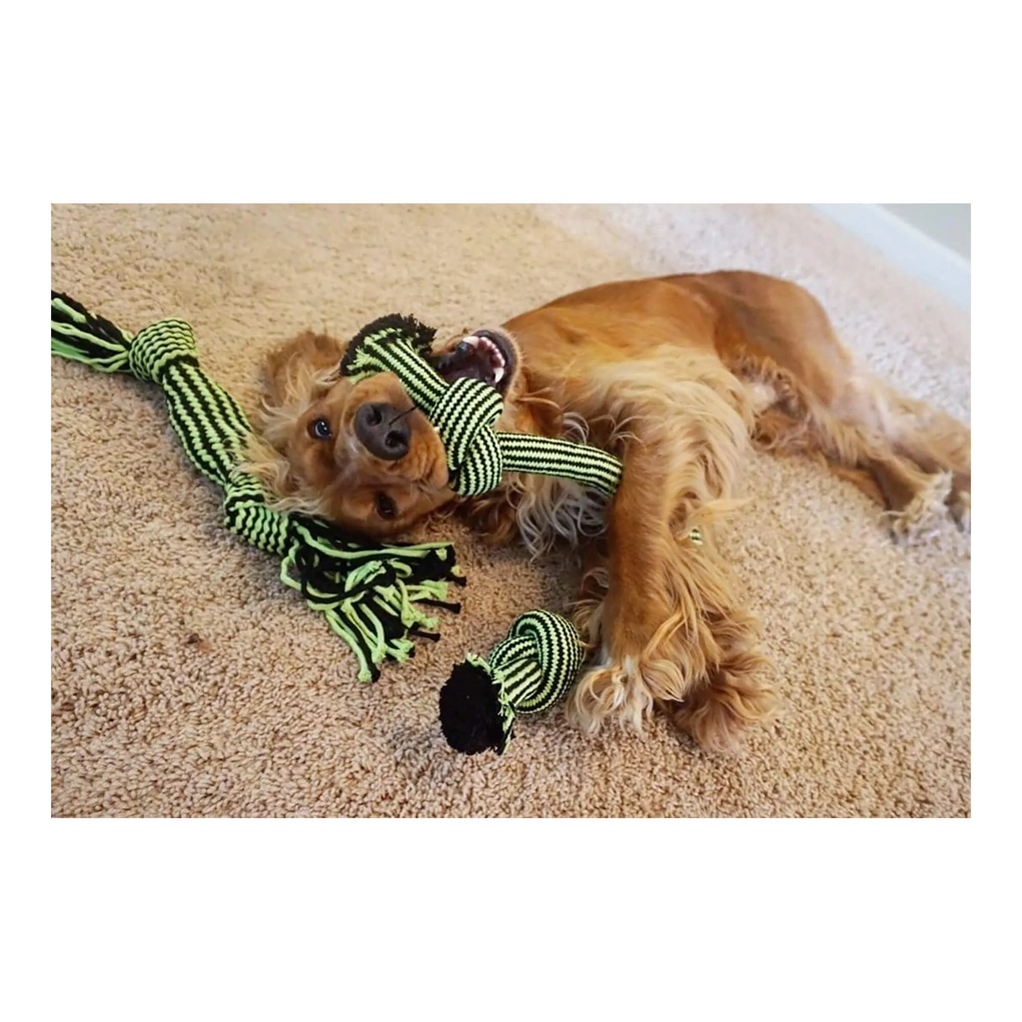 Knot-n-Chew, Small/Medium - Pet's Shop