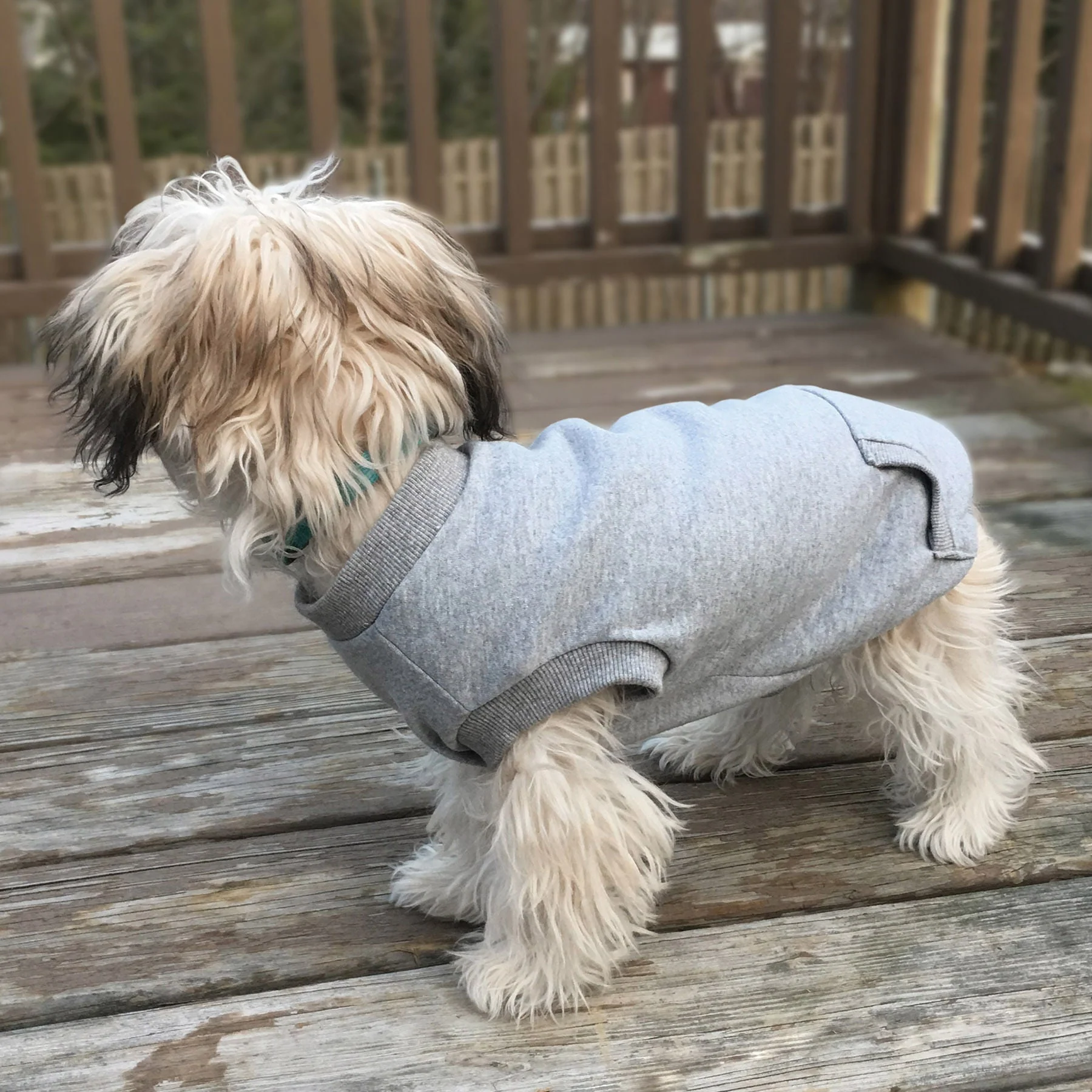 Activewear Sweatshirt - Pet's Shop
