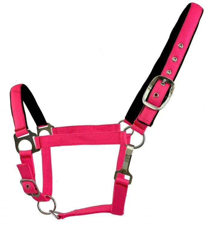 Showman Fluorescent Halters, Full - Pet's Shop