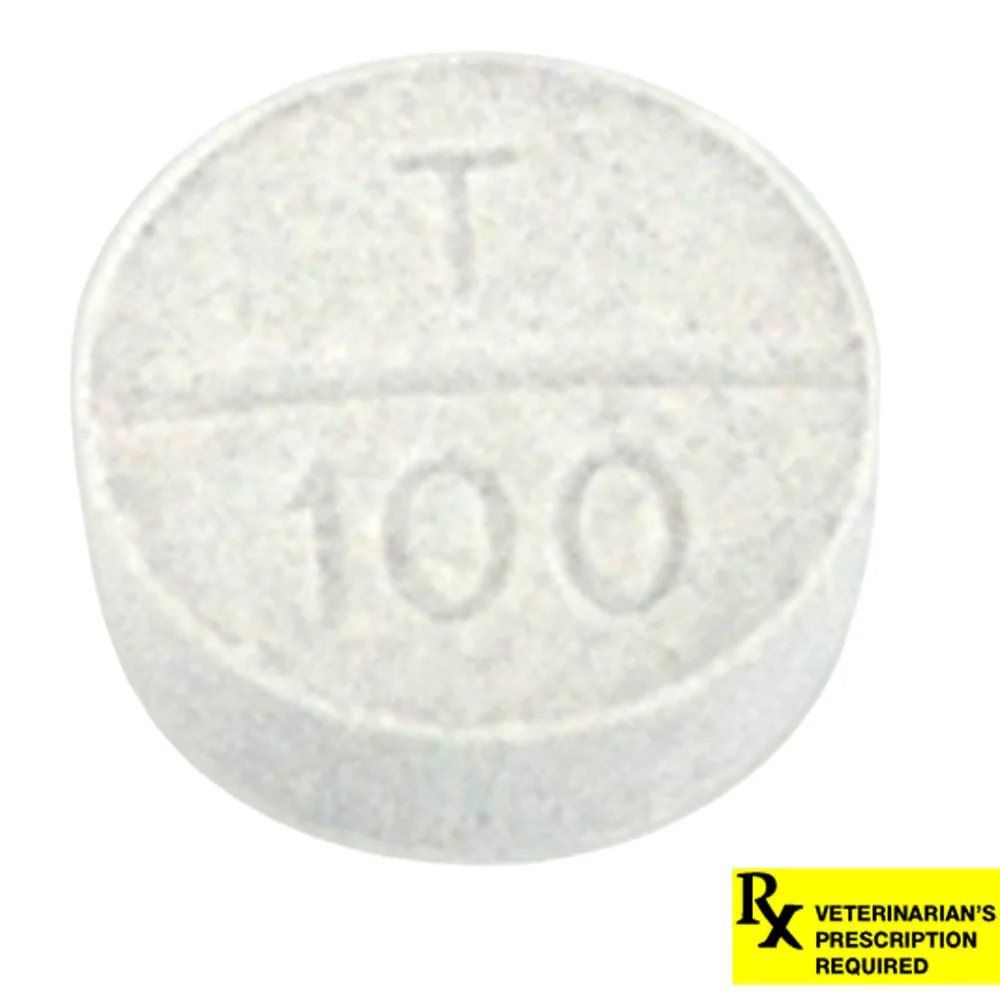 Rx Temaril-P (trimeprazine with prednisolone) Tablets for Dogs - Pet's Shop