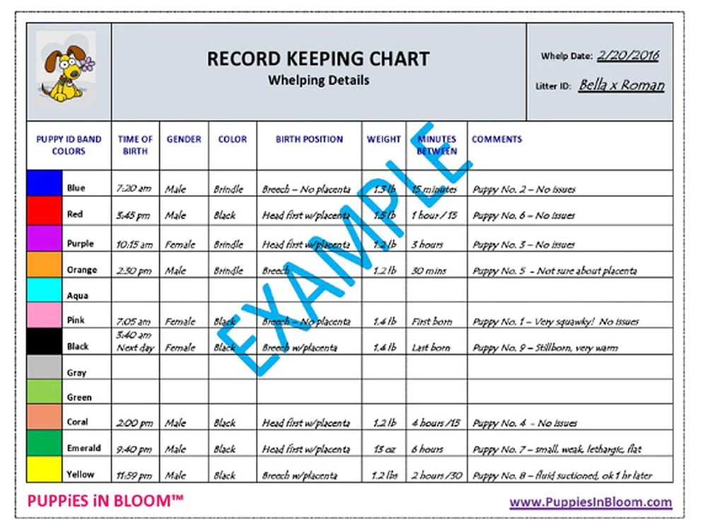Puppies in Bloom Breeder Record Keeping Charts - Pet's Shop
