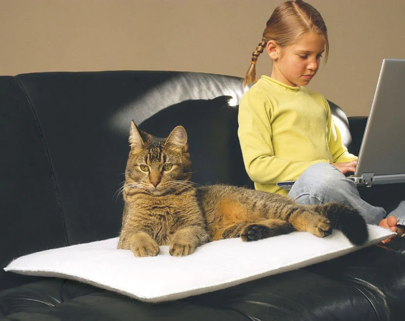 Mysterious Purr Padd - Pet's Shop