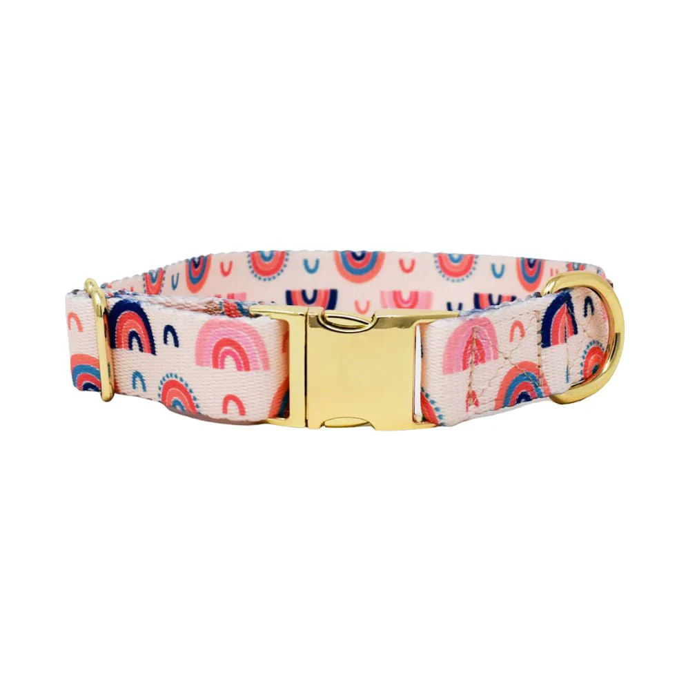 Pink Papyrus Clarke Collar, Rainbow - Pet's Shop