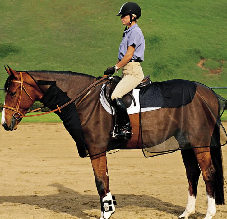 Quiet-Ride Bug Armor - Pet's Shop