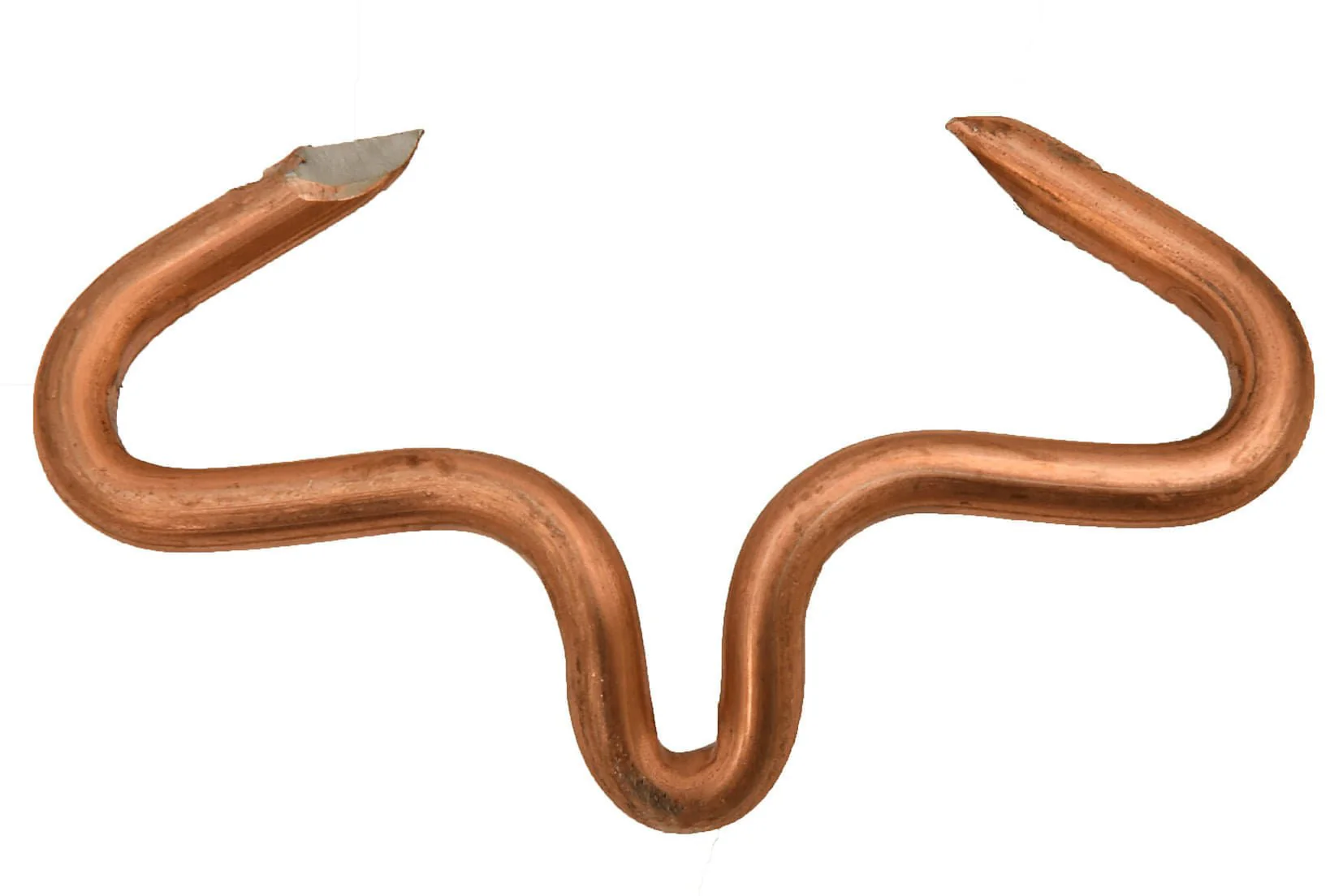 Hog and Pig Rings - Pet's Shop