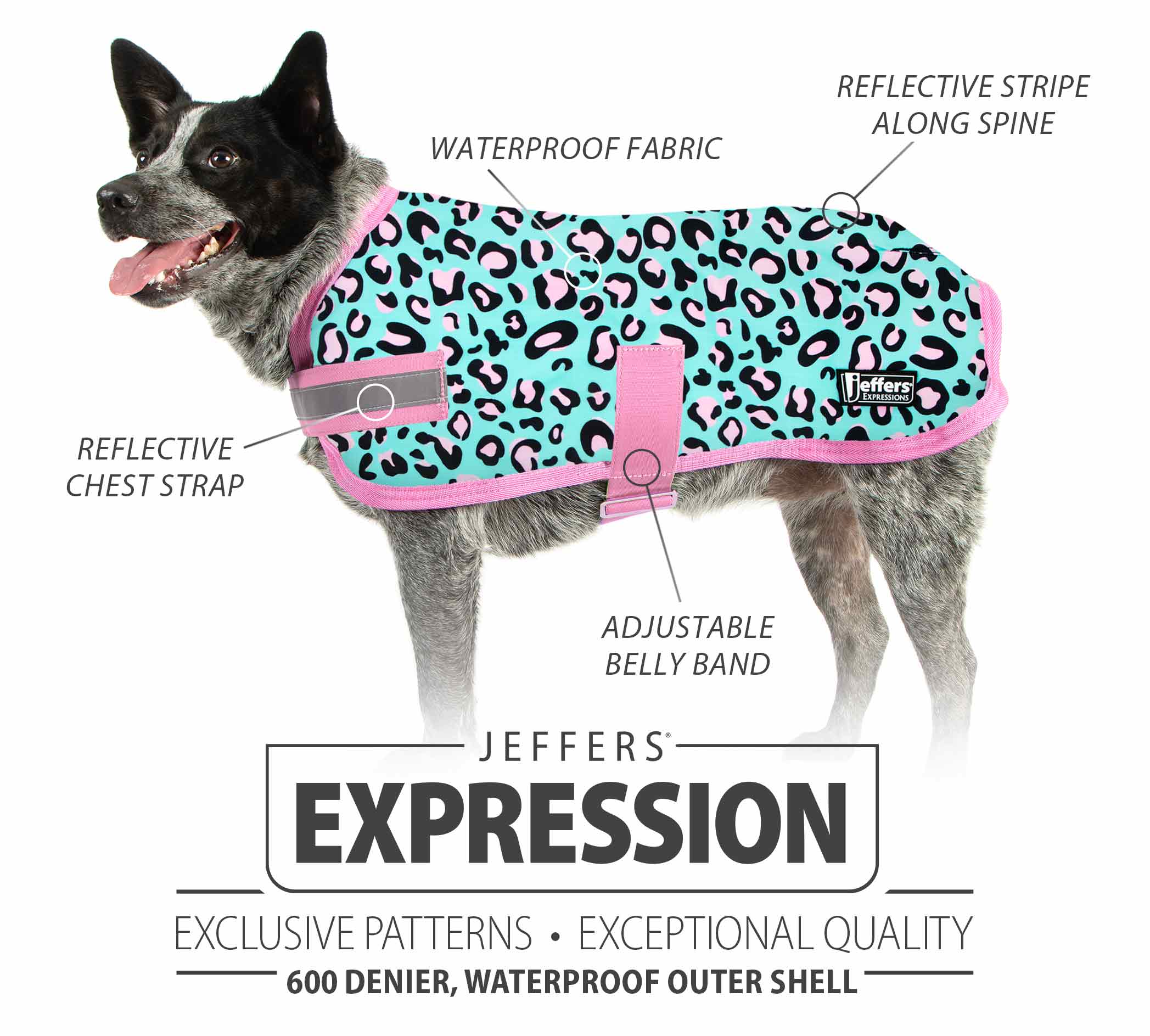 Expression Waterproof Ripstop Dog Coat, Party Cheetah - Pet's Shop