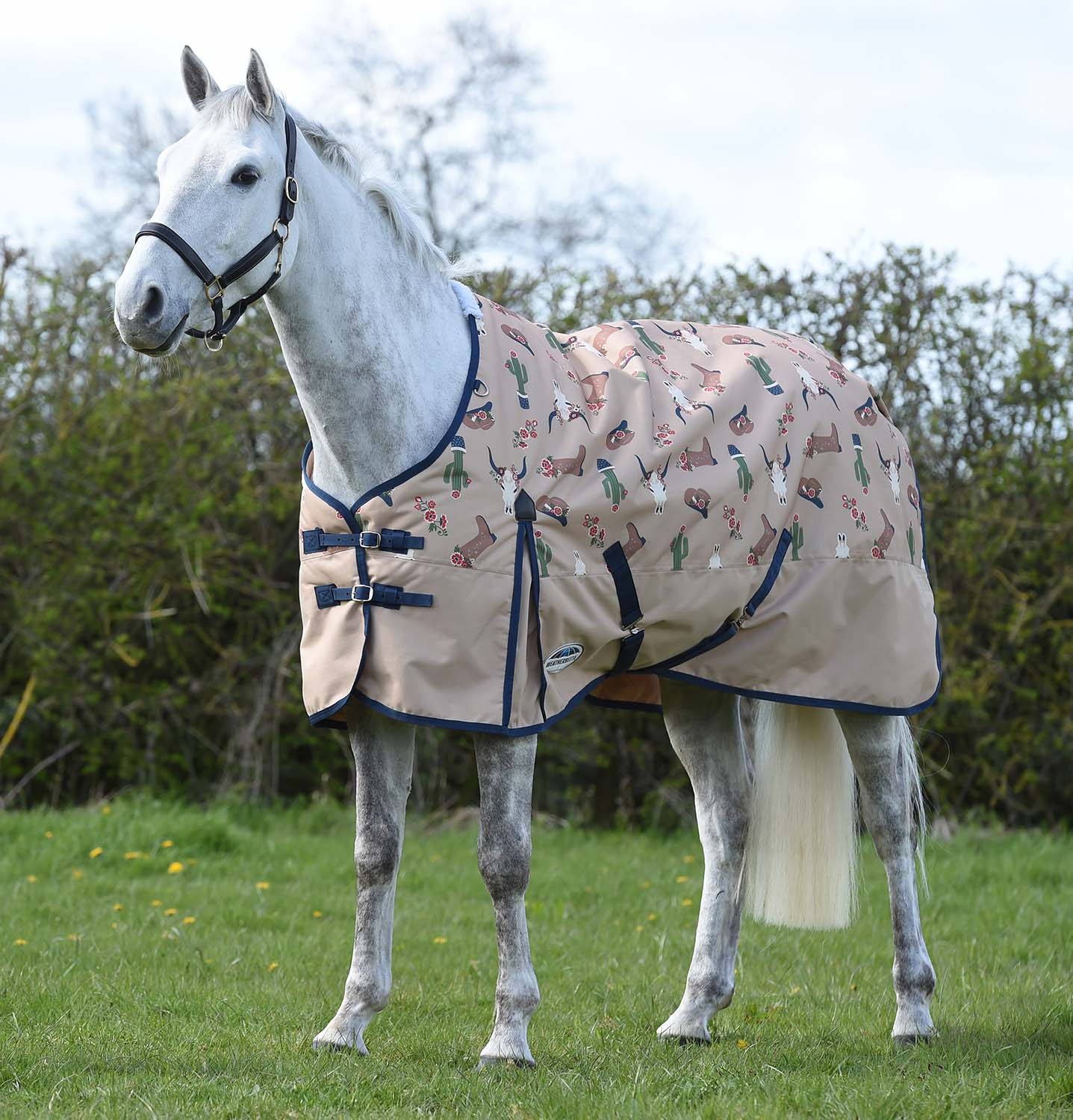 WeatherBeeta ComFITec Essential Standard Neck Medium Weight Horse Blanket, Sante Fe Sands - Pet's Shop