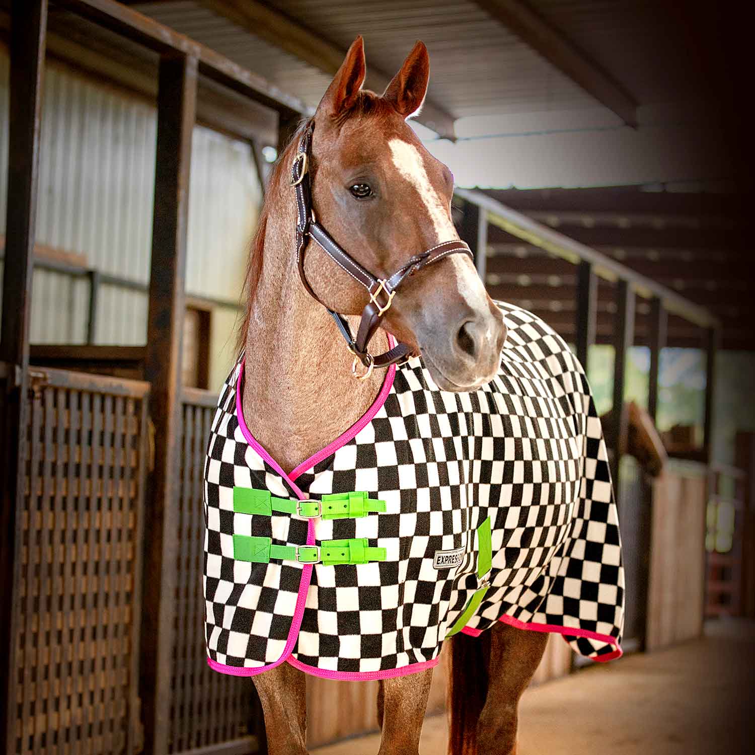 Expression Standard Neck Fleece Horse Cooler, Skater Cowgirl - Pet's Shop