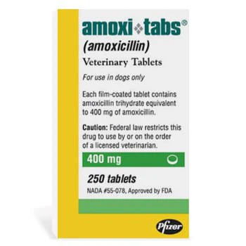 Rx Amoxicillin (Generic) Tablets for Dogs & Cats - Pet's Shop