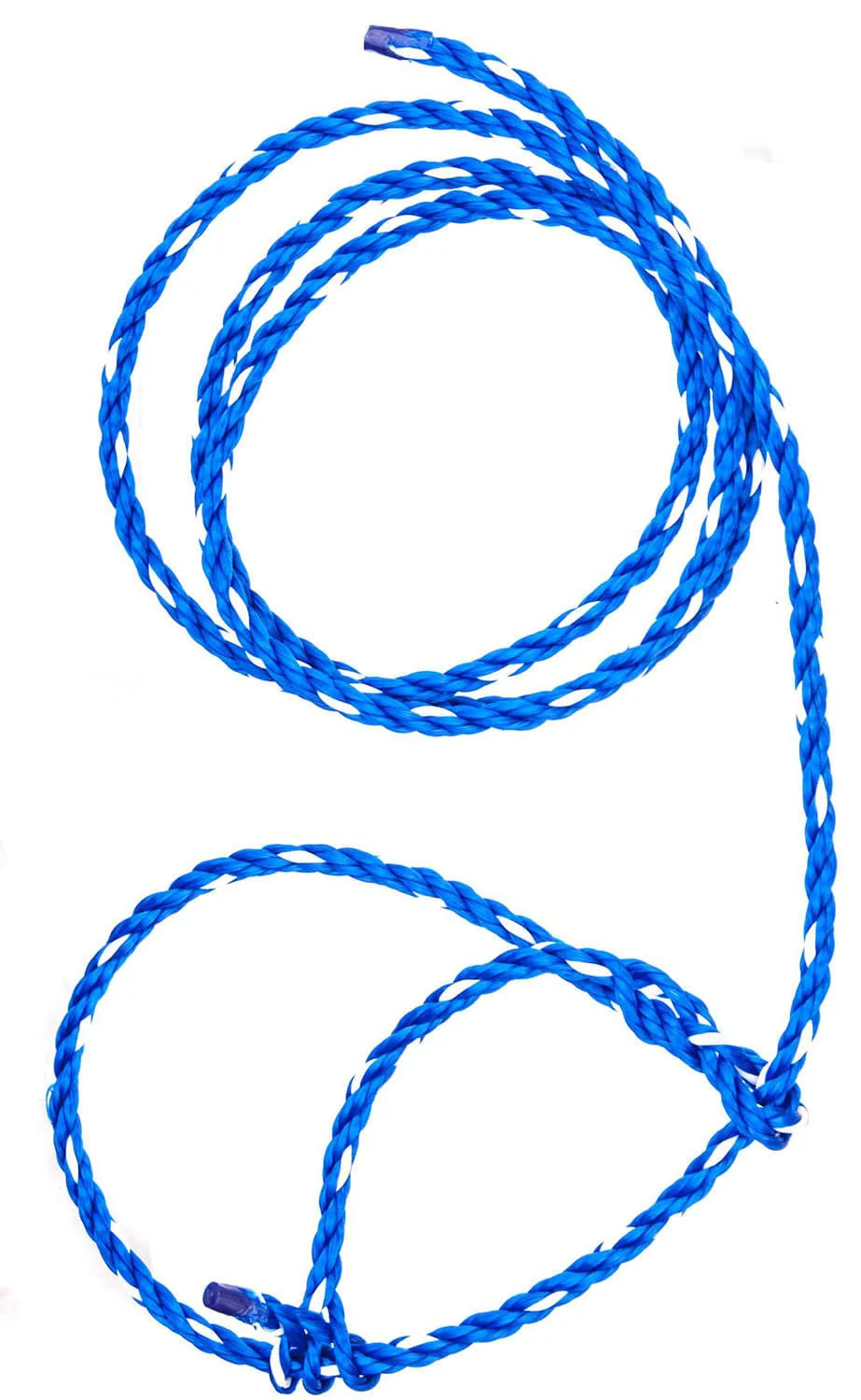 Troyer's Poly Calf Halter - Pet's Shop