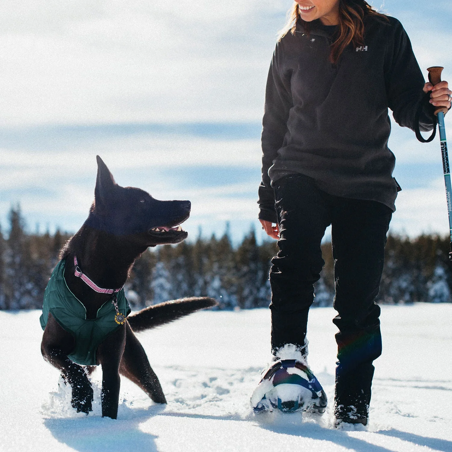 Kurgo Reversible Loft Jacket - Pet's Shop