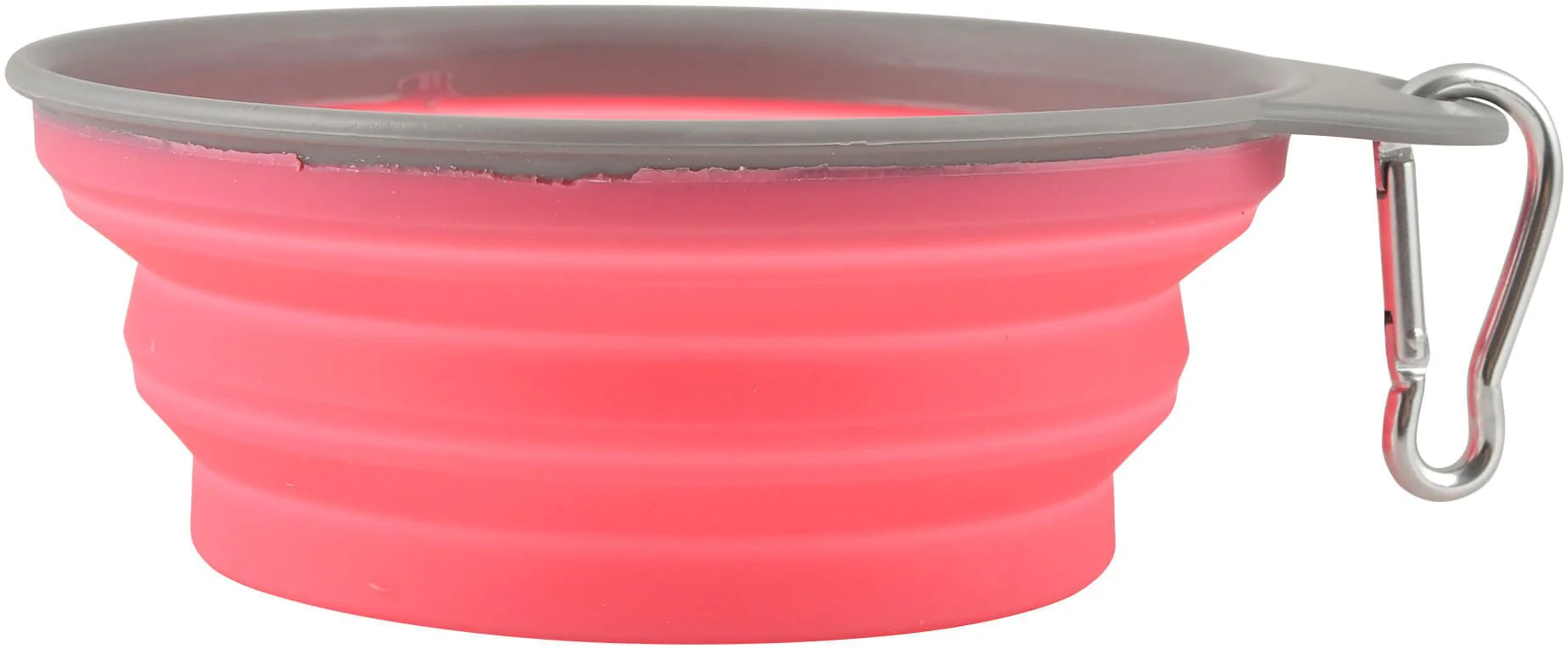 Ruffin' It Assorted Collapsible Silicone Bowl - Pet's Shop