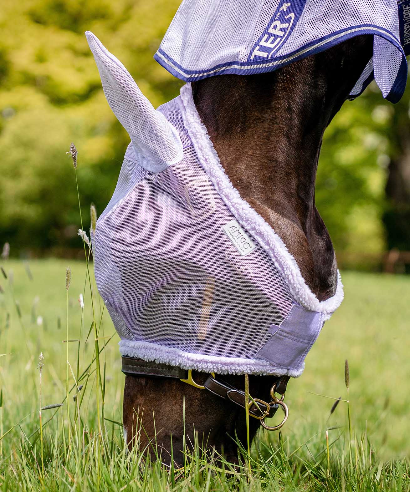 Amigo Horse Fly Mask with Ears, Lavender - Pet's Shop