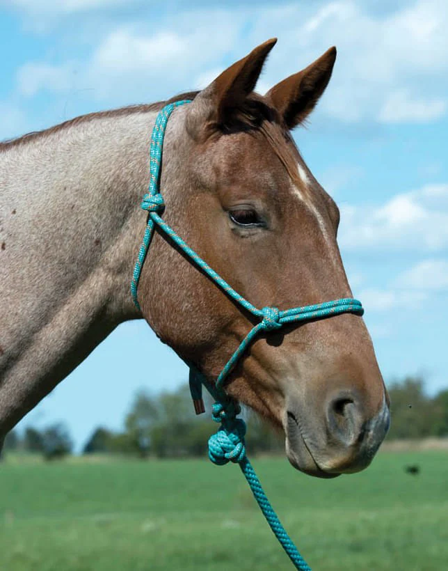 Weaver Leather Diamond Braid Rope Halter with Lead - Pet's Shop