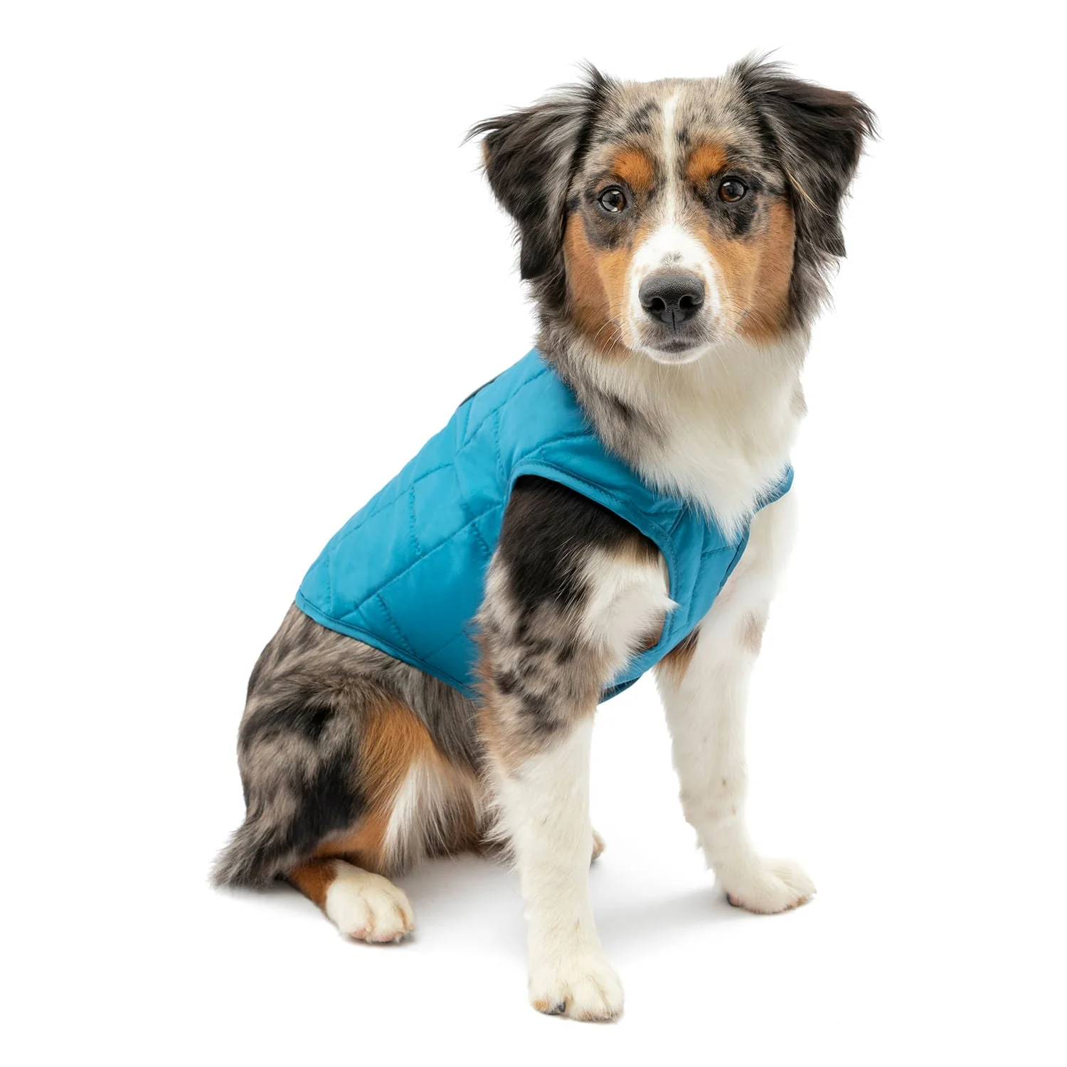 Kurgo Reversible Loft Jacket - Pet's Shop