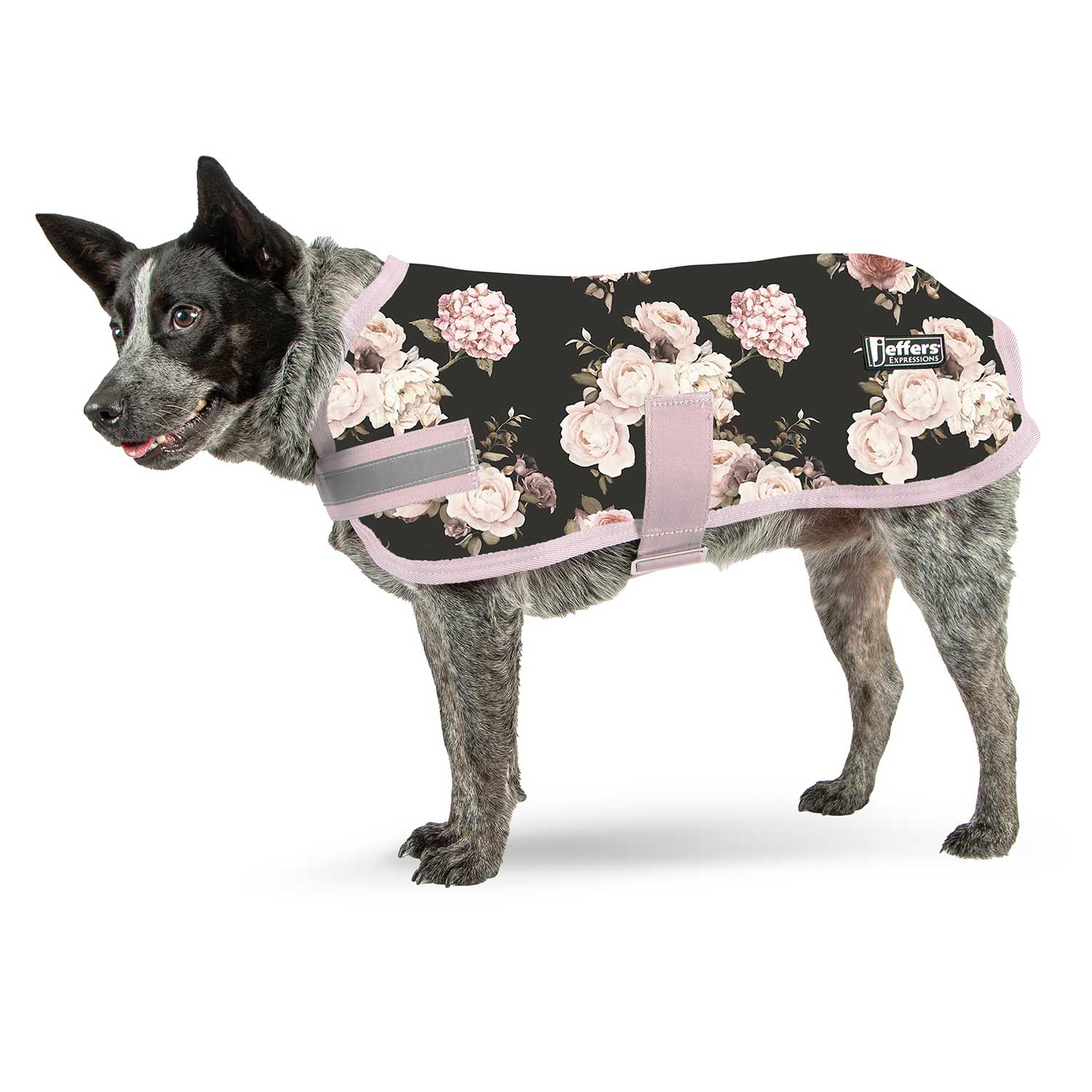 Expression Waterproof Ripstop Dog Coat, Rose Garden - Pet's Shop