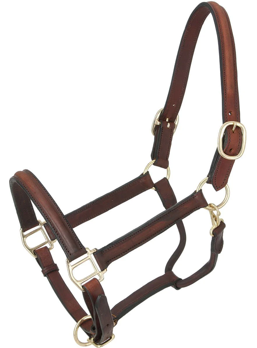 Royal King Raised Leather Halter - Pet's Shop