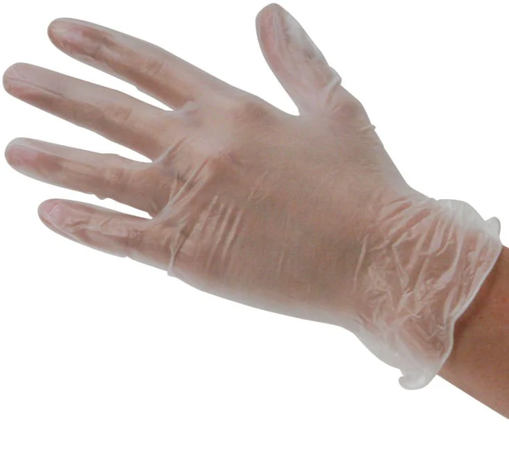 Vinyl Disposable Gloves (Box of 100) - Pet's Shop