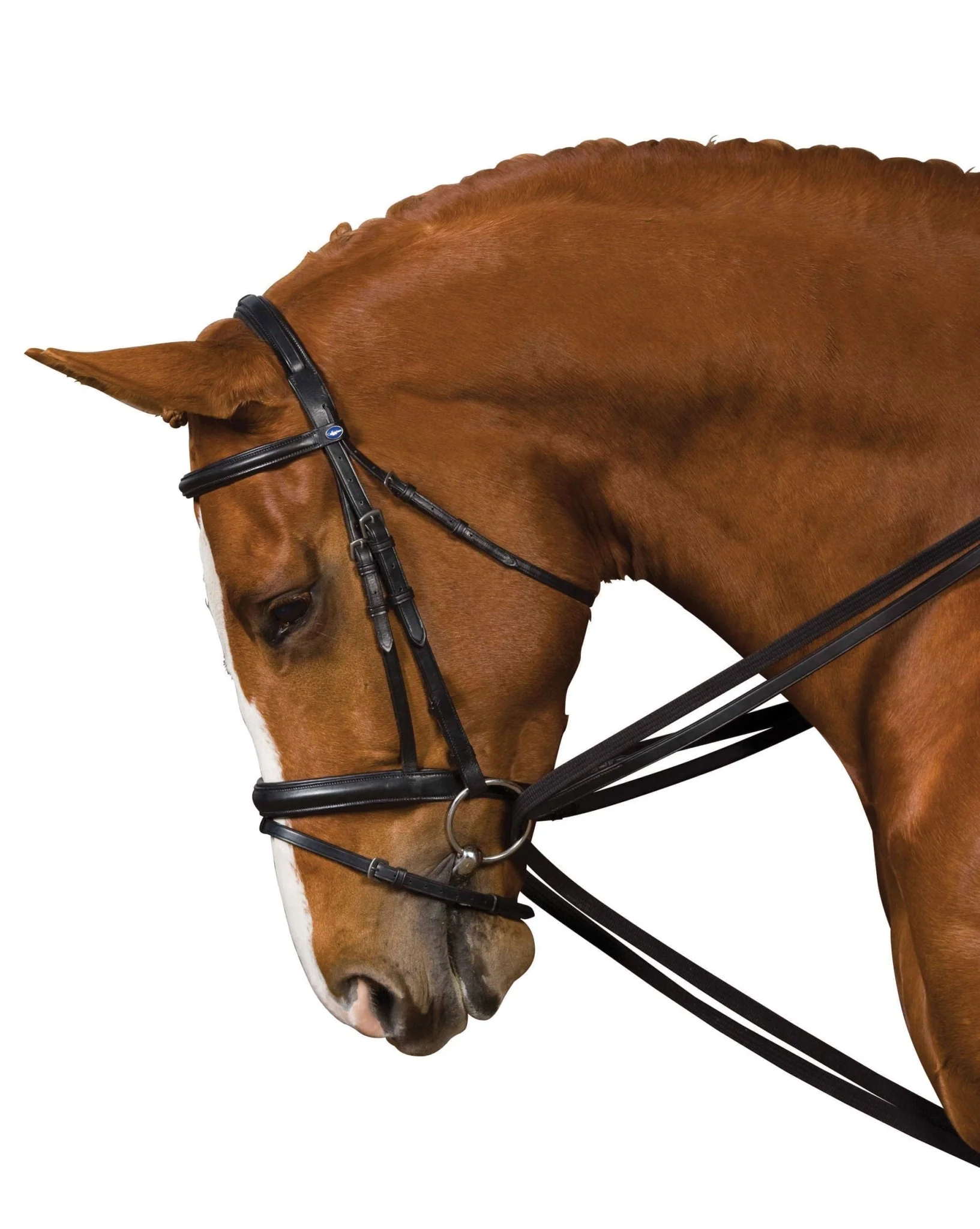 Kincade Leather Draw Reins - Pet's Shop