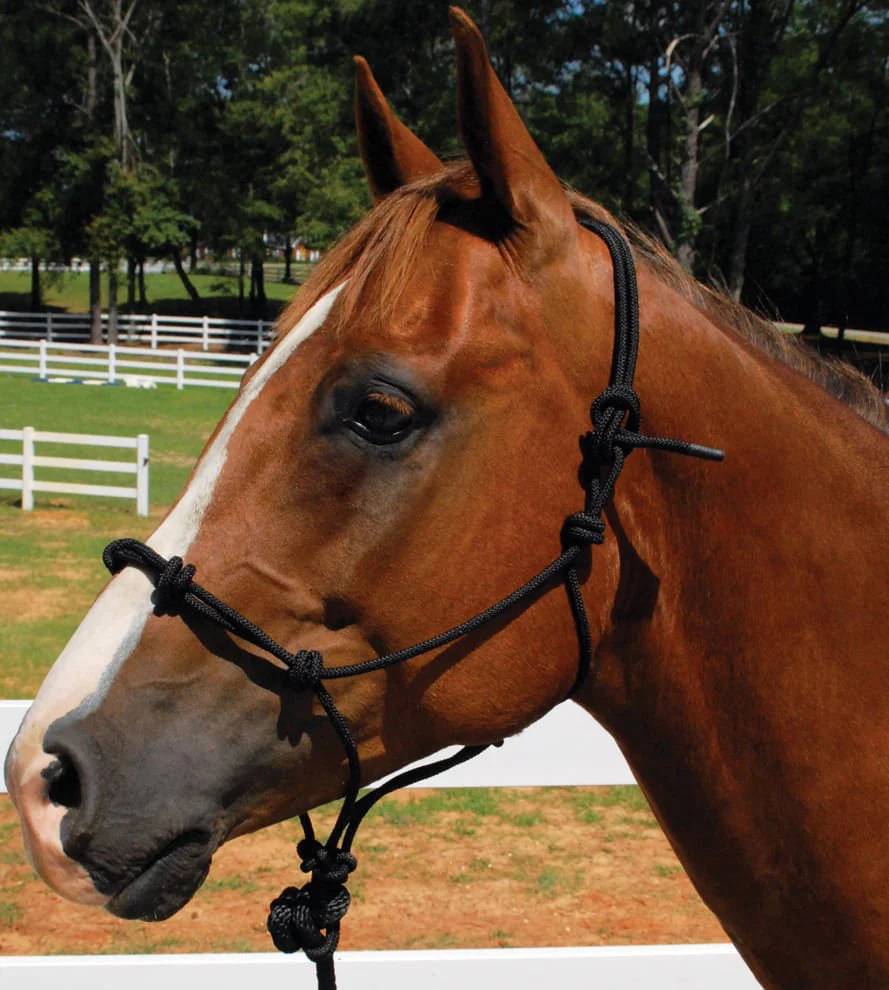 Knotted Rope Horse Training Halter - Pet's Shop