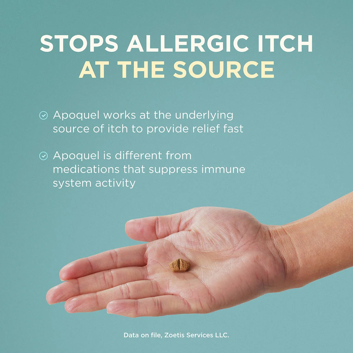 Apoquel (oclacitinib) Chewable Tablet for Dogs - Pet's Shop