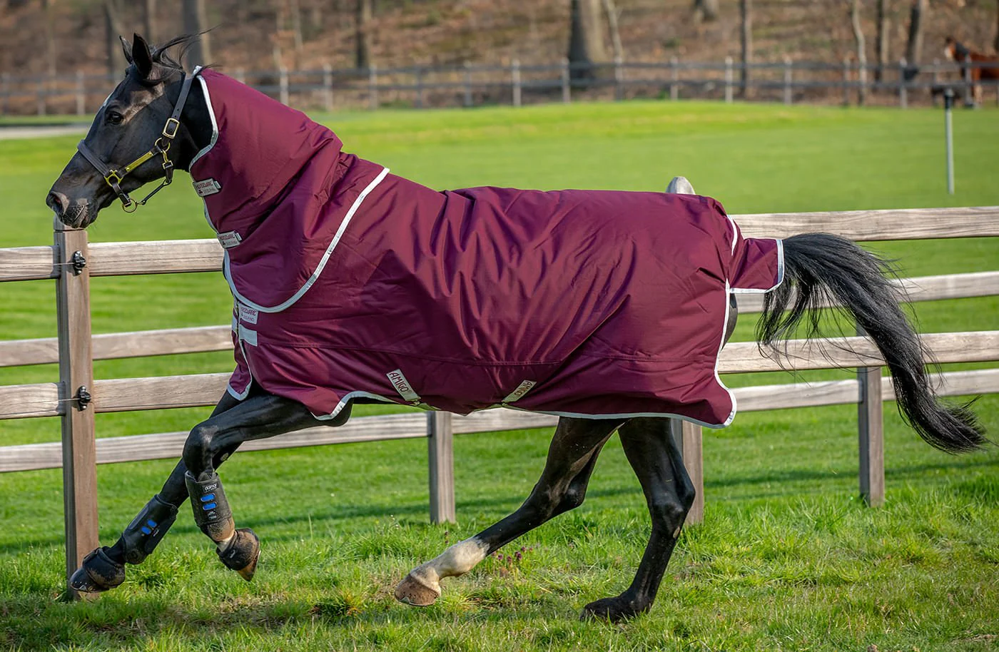 Amigo Hero Ripstop Plus Medium Weight Horse Turnout Blanket - Pet's Shop