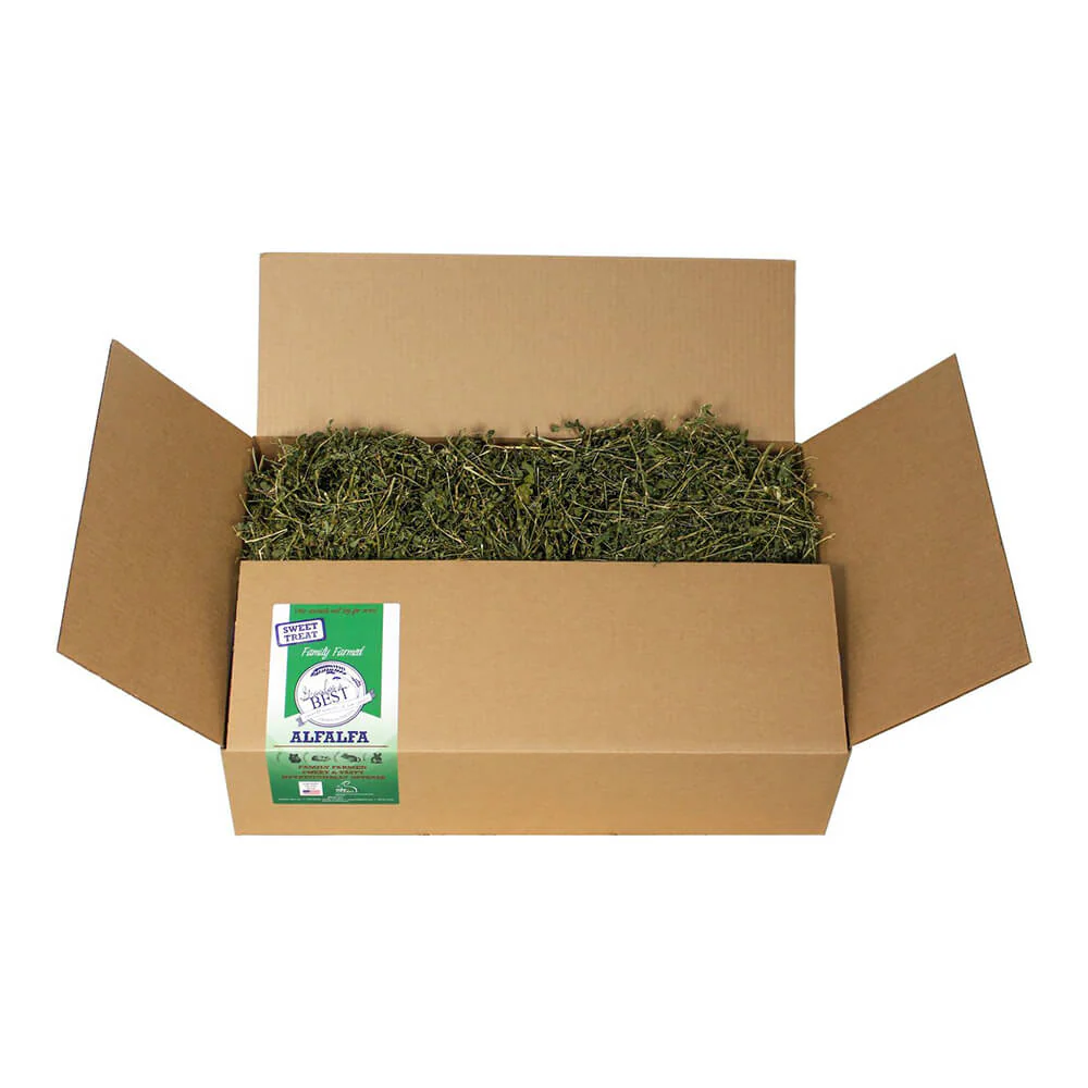 Grandpa's Best Alfalfa Loose Boxed Hay - Pet's Shop