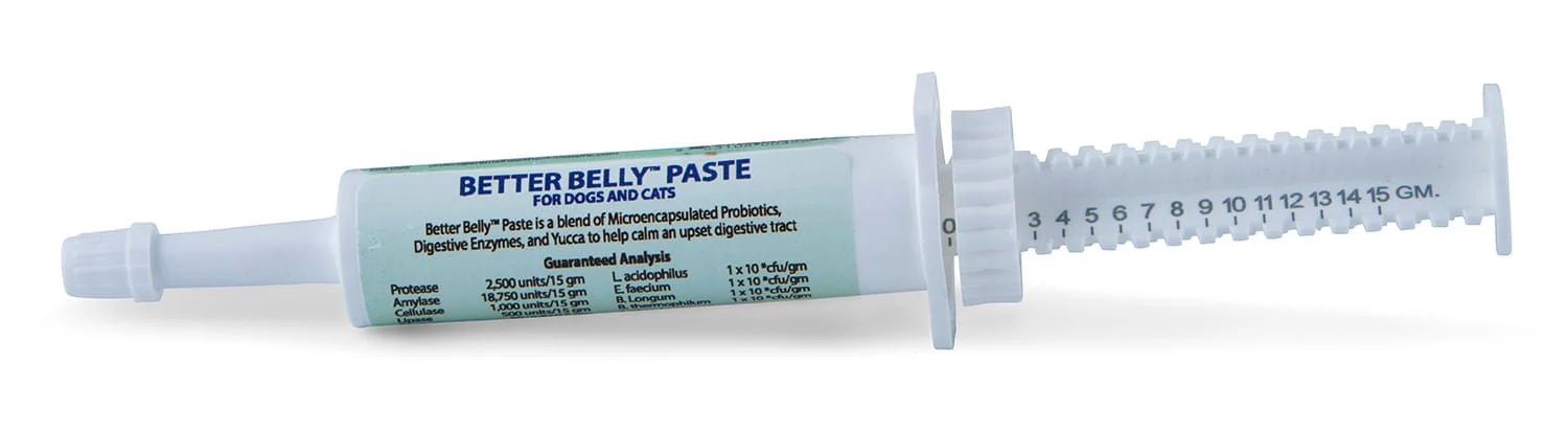 Prothrive Better Belly Paste, 15 gm - Pet's Shop