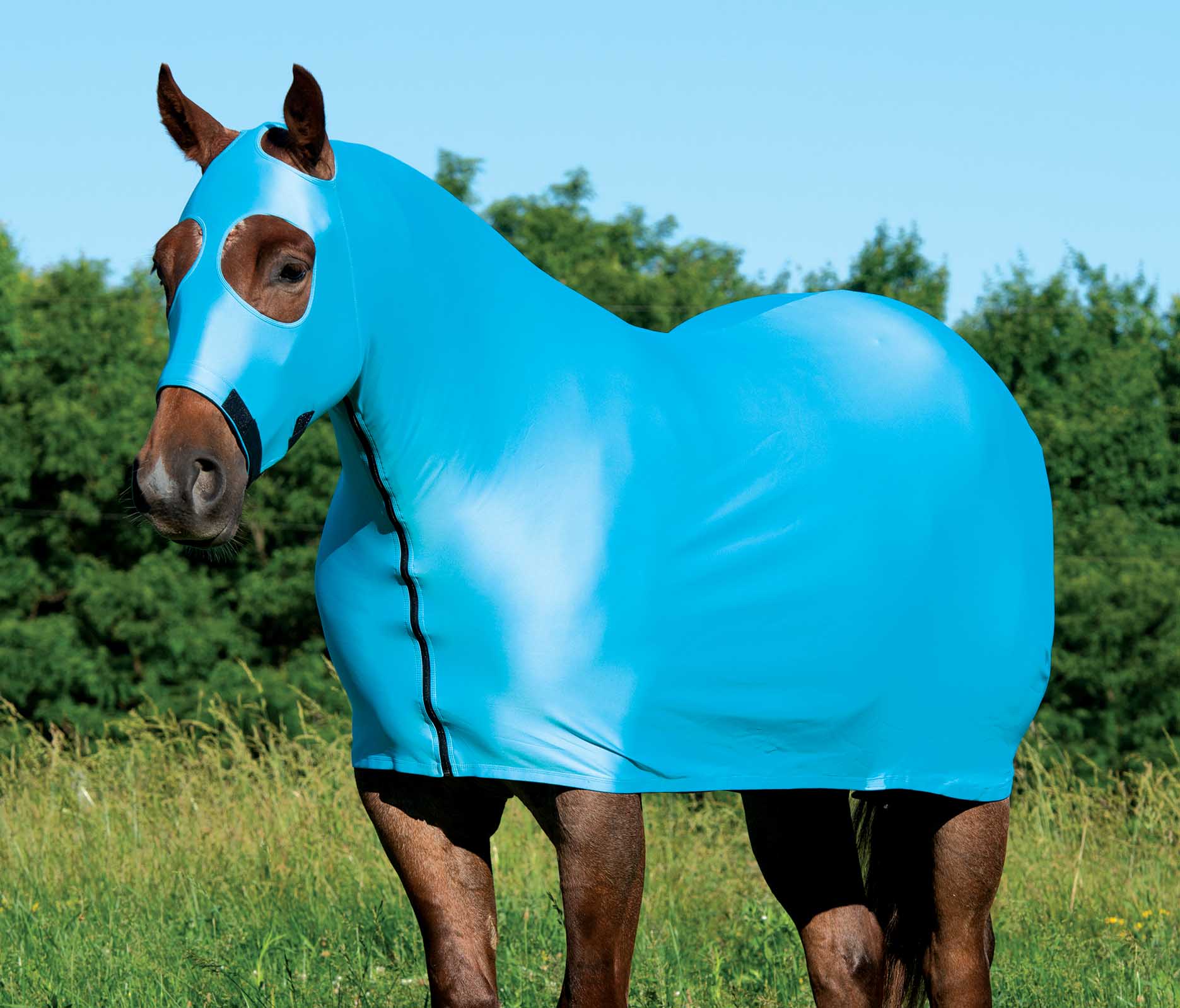 Coolcore Lycra Cooling Sheet for Horses w/ UV Protection - Pet's Shop