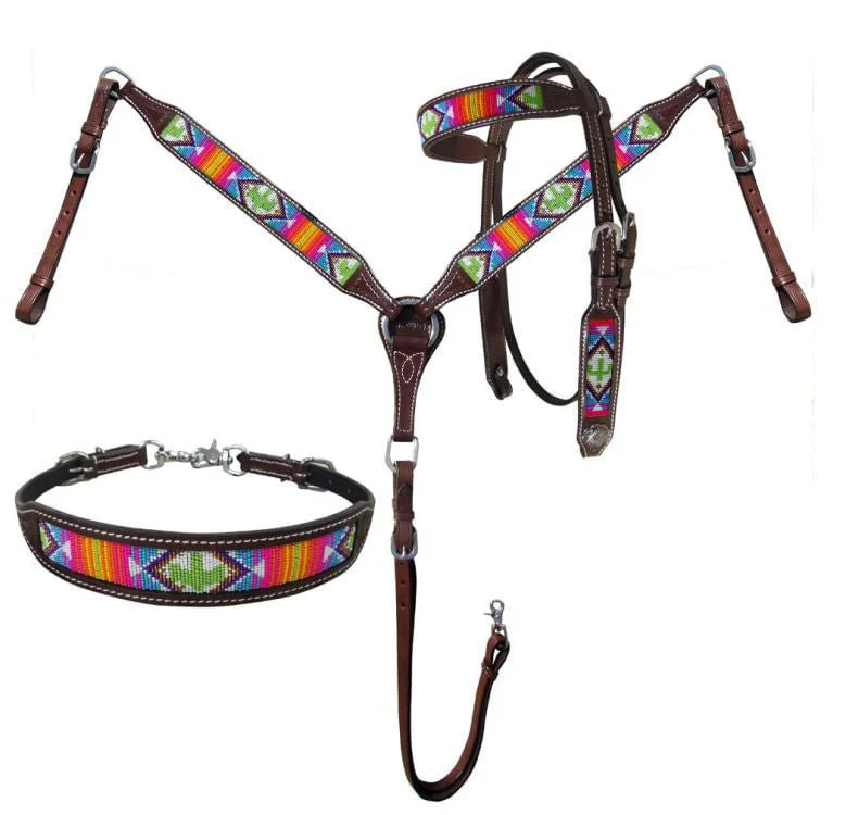 Showman Beaded Southwest & Cactus Tack Set - Pet's Shop