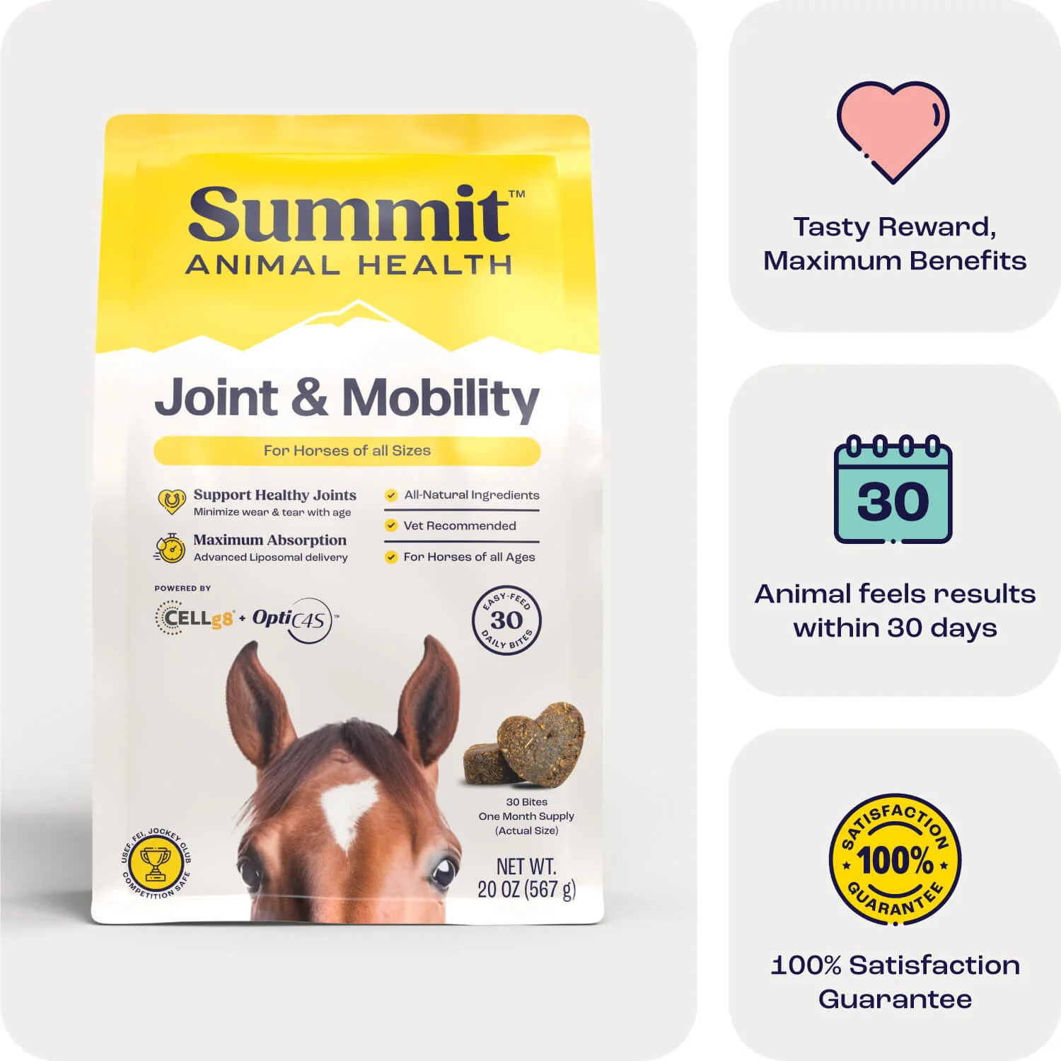 Summit Animal Health - Joint & Mobility Bites for Horses, 30 ct - Pet's Shop