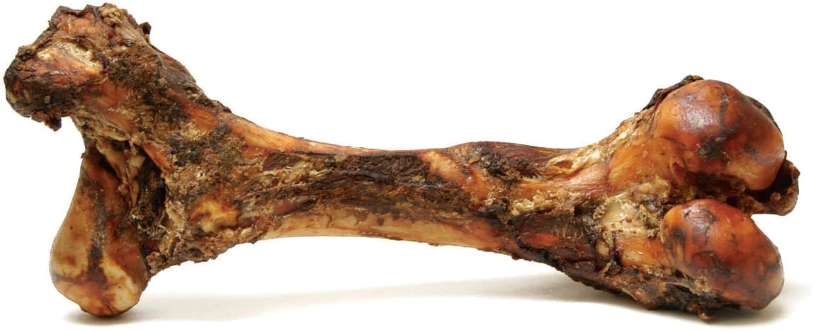 Jumbo Beef Bone for Medium to Large Dogs - Pet's Shop