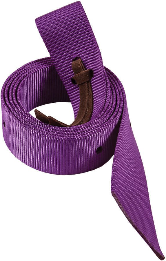 Mustang Neonz 6 Foot Nylon Tie Strap w/ Leather Tie - Pet's Shop