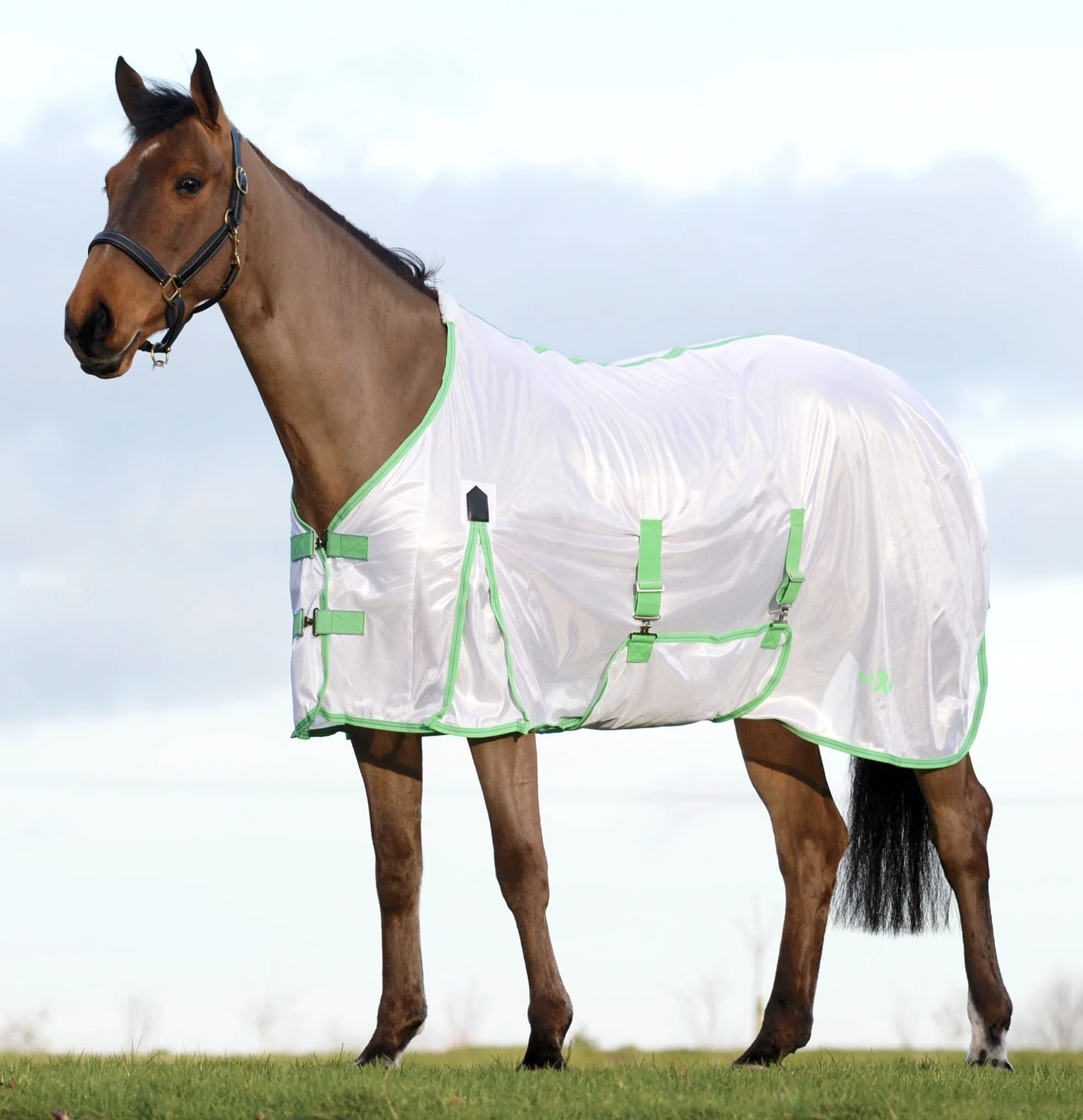 Saxon Standard Neck Mesh Horse Fly Sheet - Pet's Shop