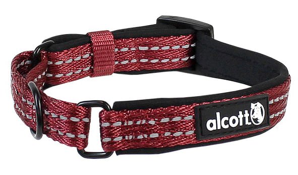 alcott Martingale Collar - Pet's Shop