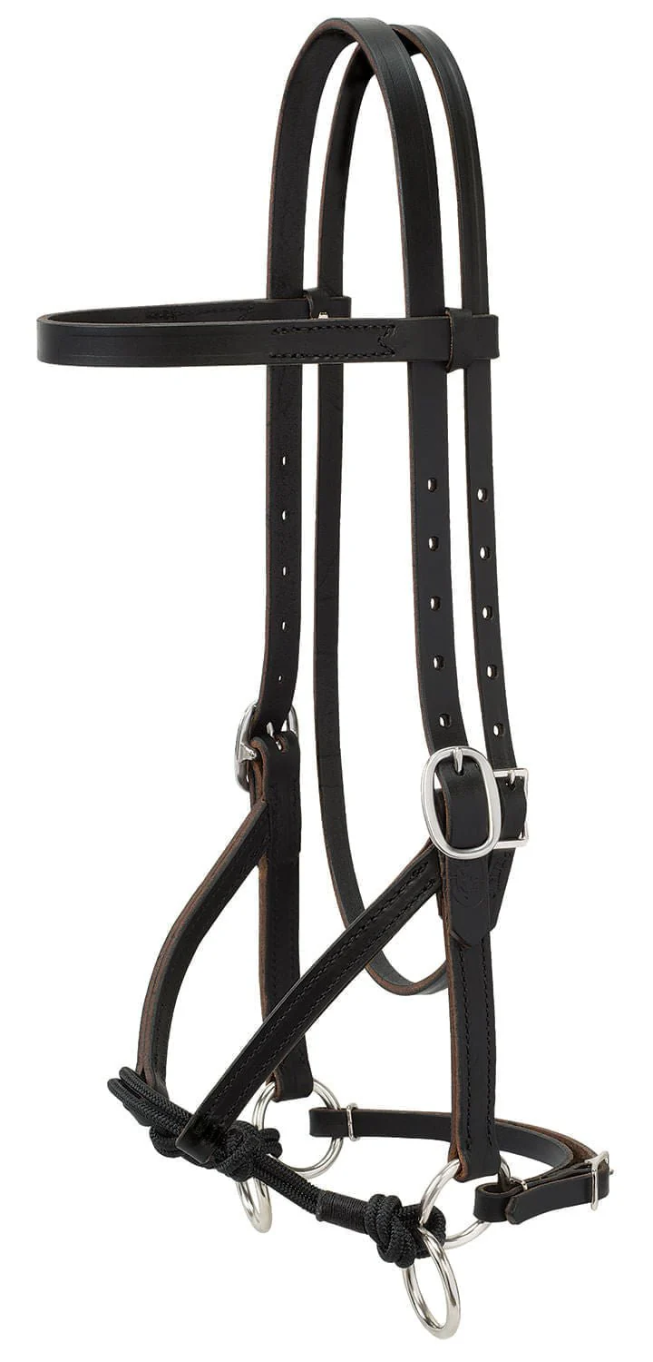 Justin Dunn Bitless Bridle - Pet's Shop