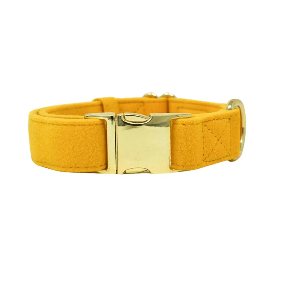Pink Papyrus Nova Collar, Yellow - Pet's Shop